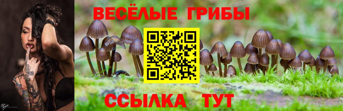 Тулун  наркотики  Вход с VPN  Галлюциногенные грибы MAGIC MUSHROOMS 